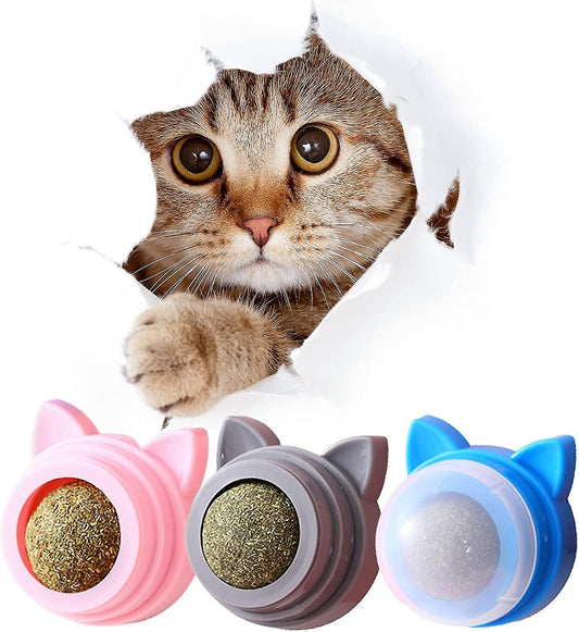 Mint Ball™ - Mint Ball for Your Cat